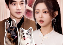 【闪婚偏宠，夫人马甲有亿点多】85集短剧在线免费全集观看