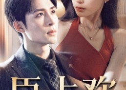 【臣上欢】80集短剧全集免费在线速看