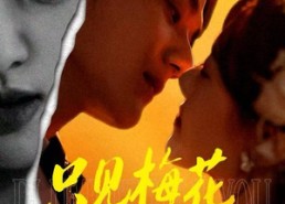 【只见梅花不见人】63集免费短剧全集线上观