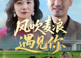 【风吹麦浪遇见你】60集免费短剧在线乐看