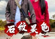 【石纹灵龟】30集短剧免费在线乐看