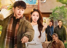 【人间烟火向阳行】65集短剧全集资源在线看