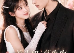 【姜小姐，慕先生只哄你一个】83集超火短剧全集在线看