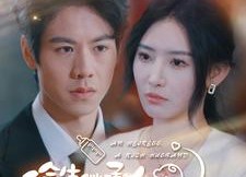 【偷生继承人豪门老公找上门】99集在线短剧免费全集观