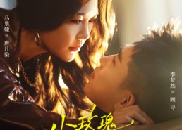 【小玫瑰是朝天椒】89集短剧在线高清观看