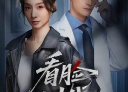 【看脸时代】36集热门短剧在线免费播放