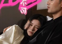 【非你不可】48集免费短剧全集线上览