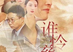 【谁怜慈母心】46集免费短剧在线完整观看