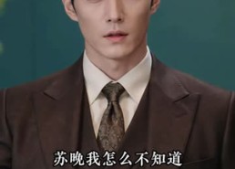 《囚爱入怀》65集短剧高清全集免费看