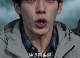 【锦鲤念念有灵气】238集免费短剧在线完整观看