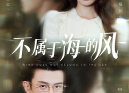 【不属于海的风】40集短剧资源全网观看
