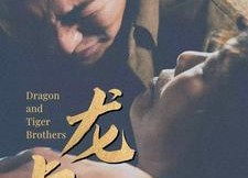 【龙虎兄弟】80集免费短剧在线全集直看