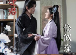 【岁岁逢君恰似瑾】100集短剧在线免费畅看