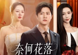 【奈何花落爱凋零】71集短剧无广告在线播放看