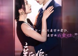 【新婚有瘾】83集短剧全集高清在线播放