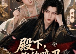 【殿下，你的暗卫有点呆呀】110集热门短剧全集畅看