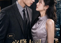 【空降上司，竟是我前夫】59集短剧在线免费览看