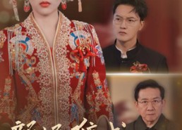 【新婚难成谁之错】30集短剧免费即点即看