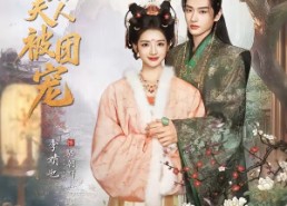 【续弦夫人被团宠】77集免费短剧全集尽情看