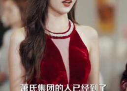 【光宗耀祖】64集在线短剧全集免费畅看