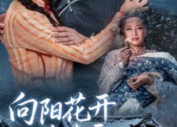 【向阳花开并蒂霜】60集免费短剧全集速看