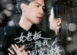 【女老板陪我回家过年】40集短剧全集在线播放