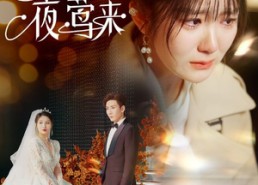 【春信不至夜莺来】50集免费短剧完整赏览