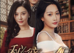 【秘密情侣】50集短剧完整版免费在线追