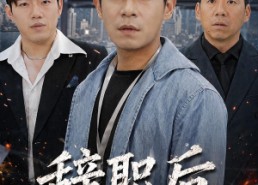 【辞职后，我成了职场精英】60集短剧免费全集追看