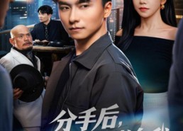 【分手后，高冷女神倒追我】80集免费在线短剧全集观赏