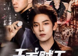 【千面贼王】74集短剧在线高清免费播放