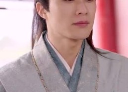 【重生后神医王妃要改嫁】免费短剧83集在线看全集