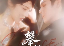 【攀折】100集热门短剧在线免费赏