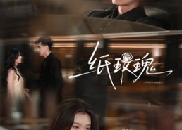 【纸玫瑰】65集短剧免费在线直看