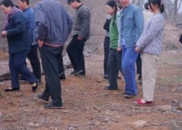 【饥荒年代：我用肉把哥哥姐姐喂胖】72集短剧免费在线播放看