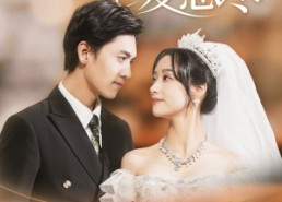 【大雾起爱意尽】39集短剧免费在线观览