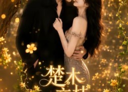 【楚木交枝】70集短剧完整版免费观看