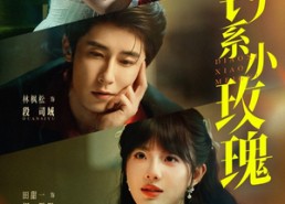 【钓系小玫瑰】82集免费短剧全集流畅看