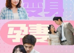 【裴总的变身孕妻】60集短剧免费在线高清观看