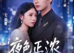 【夜色正浓】65集短剧全集免费随心观看