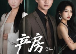 【产房见人心第二季】75集短剧在线高清赏看