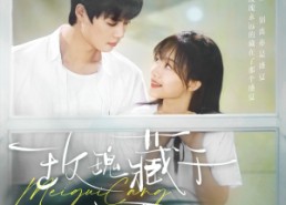 【玫瑰藏于盛夏】88集高清短剧全集速看