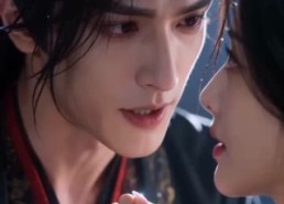 【妙手医妃伴靖王】22集短剧全网免费观看