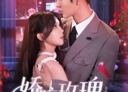 【娇咬玫瑰】98集短剧全集在线免费畅享