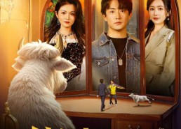 【我能倾听动物心声】50集在线免费短剧全集享