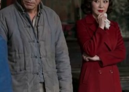 【远赴西北，绽放半生锋芒】59集短剧在线完整播放