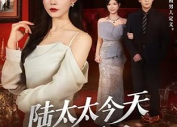 【陆太太今天离婚了】59集短剧全集在线高清观看