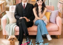 【心动匹诺曹】100集短剧在线尽情观看
