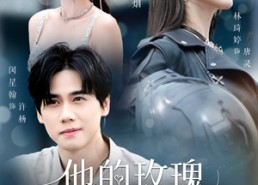 【他的玫瑰与寒霜】60集短剧免费在线全集享