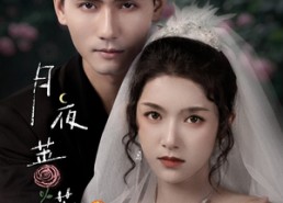 【月夜蔷薇】72集免费短剧在线全集观